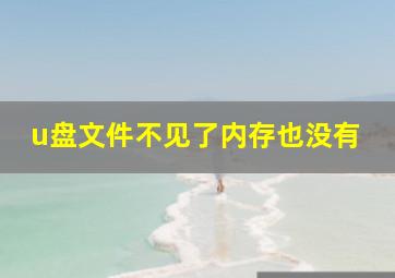 u盘文件不见了内存也没有