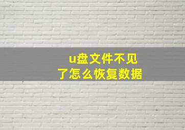 u盘文件不见了怎么恢复数据