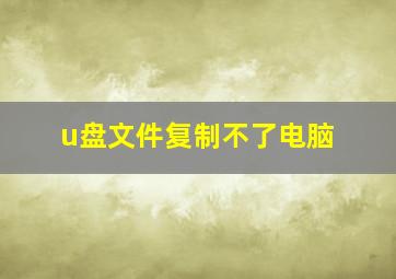 u盘文件复制不了电脑