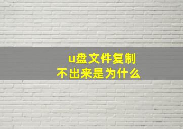 u盘文件复制不出来是为什么