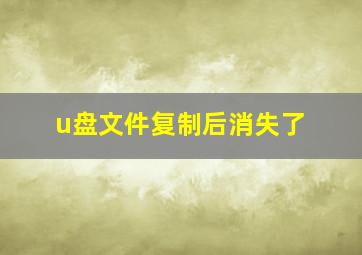 u盘文件复制后消失了