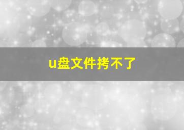 u盘文件拷不了