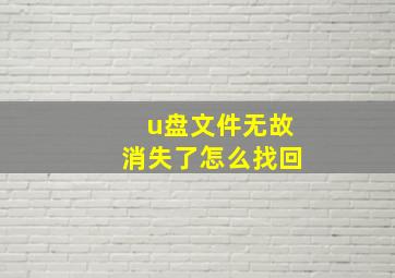 u盘文件无故消失了怎么找回