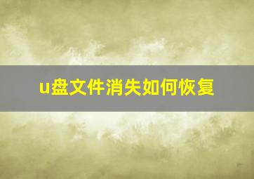 u盘文件消失如何恢复