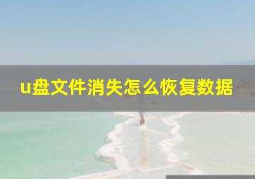 u盘文件消失怎么恢复数据