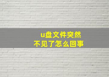 u盘文件突然不见了怎么回事