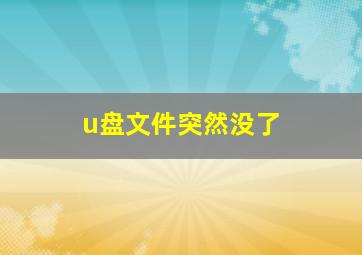 u盘文件突然没了