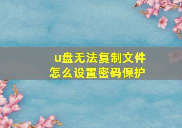 u盘无法复制文件怎么设置密码保护