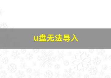 u盘无法导入