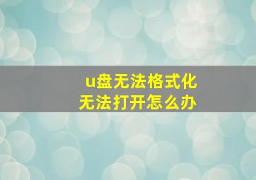 u盘无法格式化无法打开怎么办