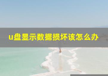 u盘显示数据损坏该怎么办