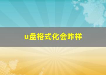 u盘格式化会咋样