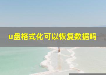 u盘格式化可以恢复数据吗