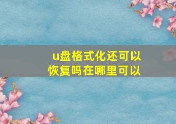 u盘格式化还可以恢复吗在哪里可以