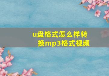 u盘格式怎么样转换mp3格式视频