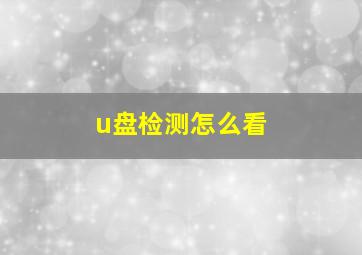 u盘检测怎么看