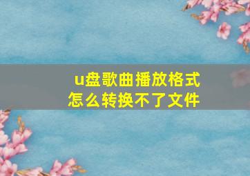 u盘歌曲播放格式怎么转换不了文件