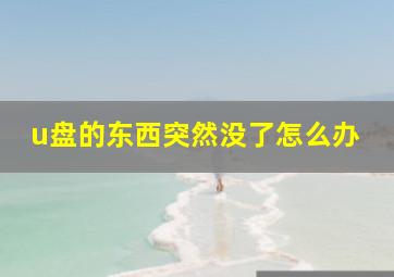 u盘的东西突然没了怎么办