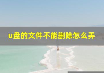 u盘的文件不能删除怎么弄