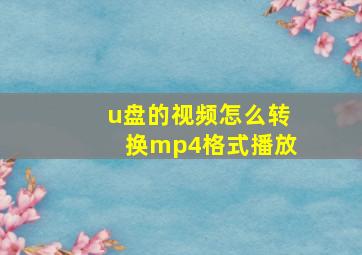 u盘的视频怎么转换mp4格式播放