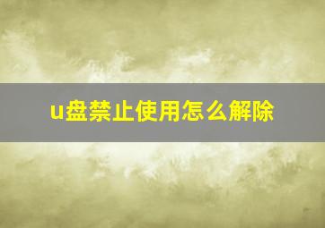 u盘禁止使用怎么解除