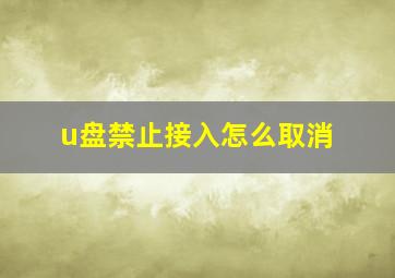 u盘禁止接入怎么取消