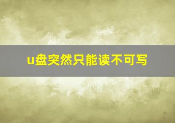 u盘突然只能读不可写