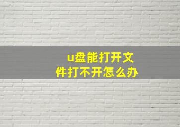 u盘能打开文件打不开怎么办