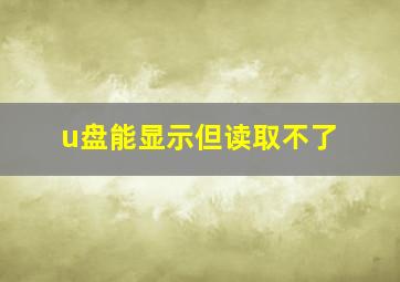 u盘能显示但读取不了