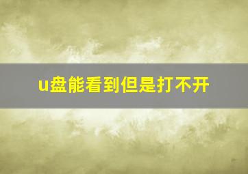 u盘能看到但是打不开