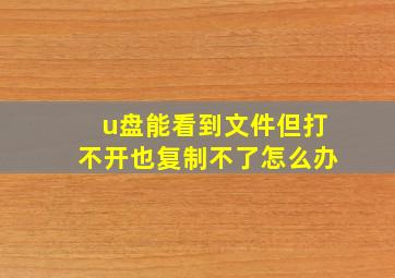 u盘能看到文件但打不开也复制不了怎么办