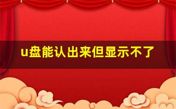 u盘能认出来但显示不了