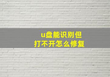 u盘能识别但打不开怎么修复