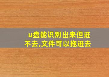 u盘能识别出来但进不去,文件可以拖进去