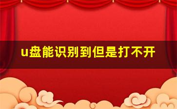 u盘能识别到但是打不开