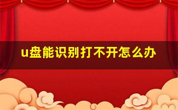 u盘能识别打不开怎么办