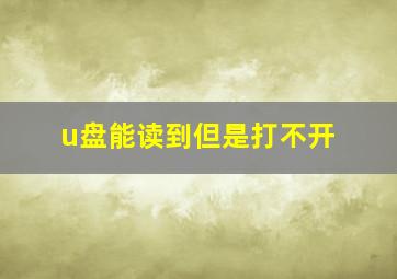 u盘能读到但是打不开