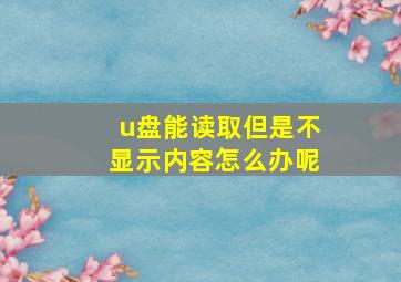 u盘能读取但是不显示内容怎么办呢