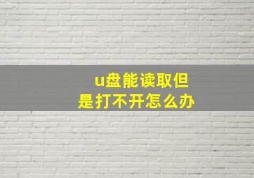 u盘能读取但是打不开怎么办