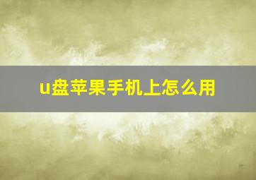 u盘苹果手机上怎么用