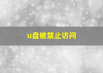 u盘被禁止访问