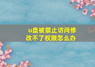 u盘被禁止访问修改不了权限怎么办