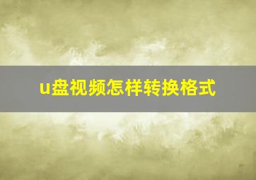 u盘视频怎样转换格式