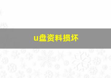 u盘资料损坏