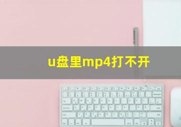 u盘里mp4打不开