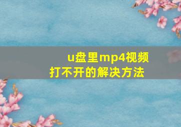 u盘里mp4视频打不开的解决方法