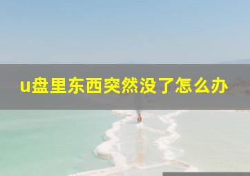 u盘里东西突然没了怎么办