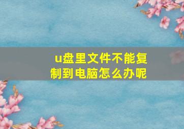 u盘里文件不能复制到电脑怎么办呢