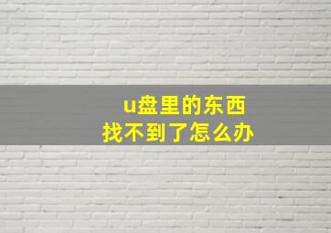 u盘里的东西找不到了怎么办