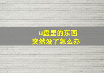 u盘里的东西突然没了怎么办